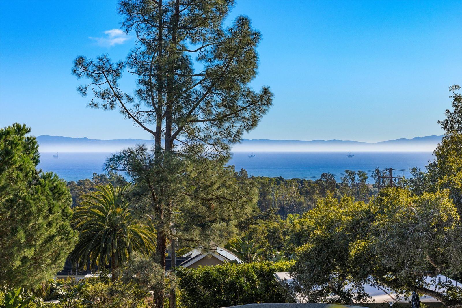 A tree stands tall in the foreground of this picture of the Santa Barbara coast with the Channel Islands in the distance.